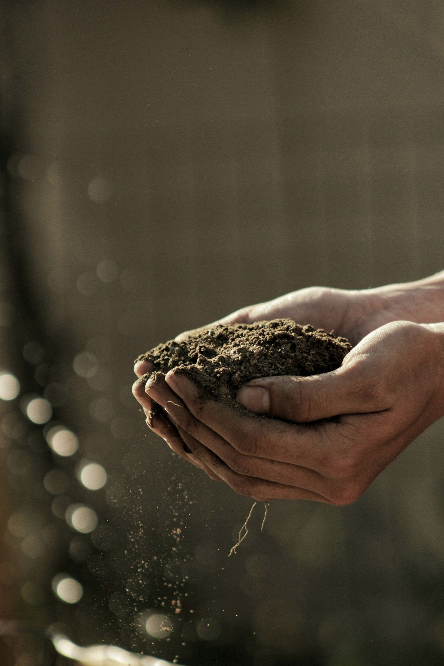 Why Colorado Soil Needs Extra Nutrients
