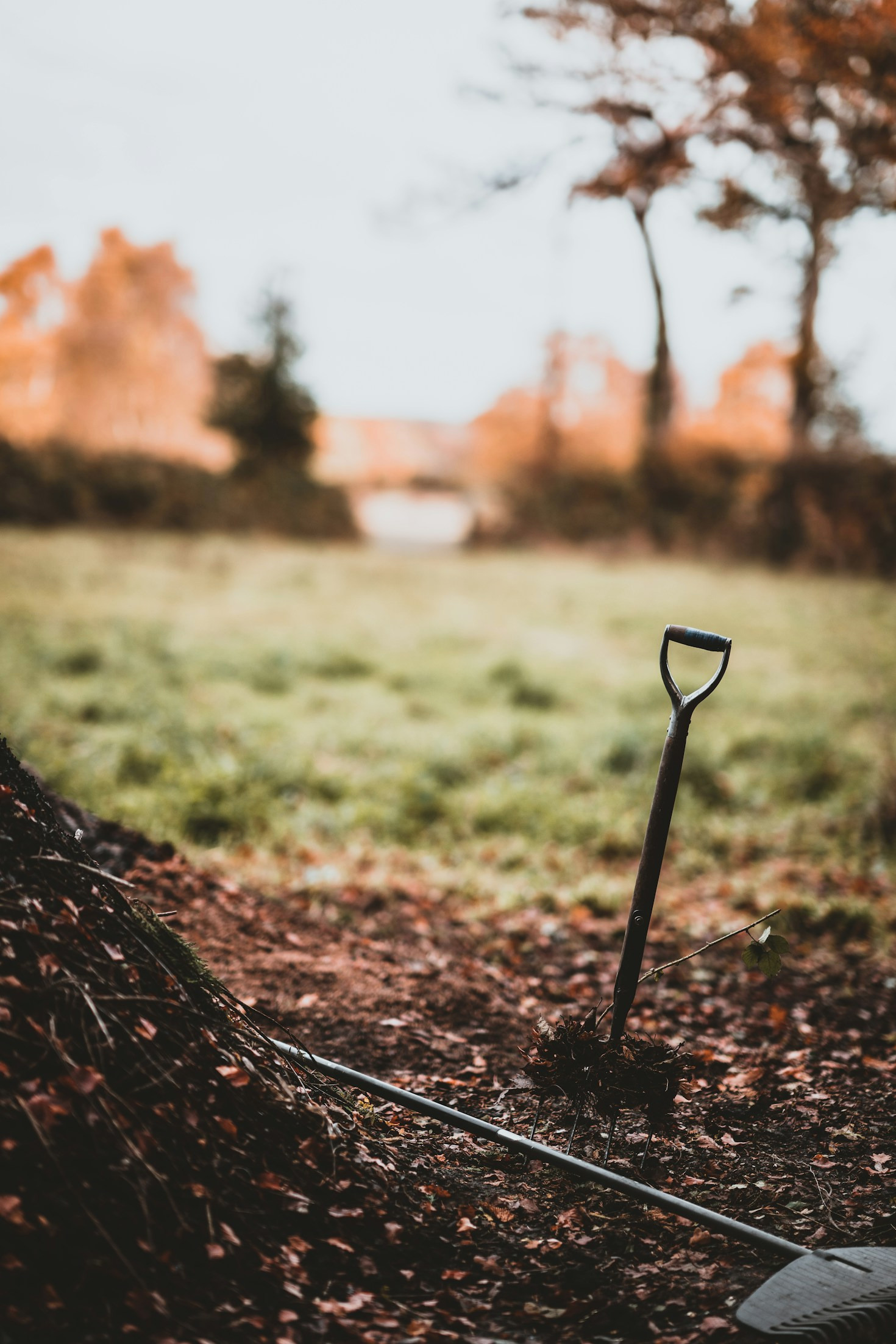 Seasonal Gardening Tips For Colorado Residents
