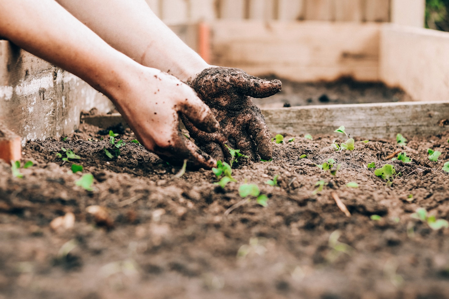 Sustainable Habits For A Greener Lifestyle